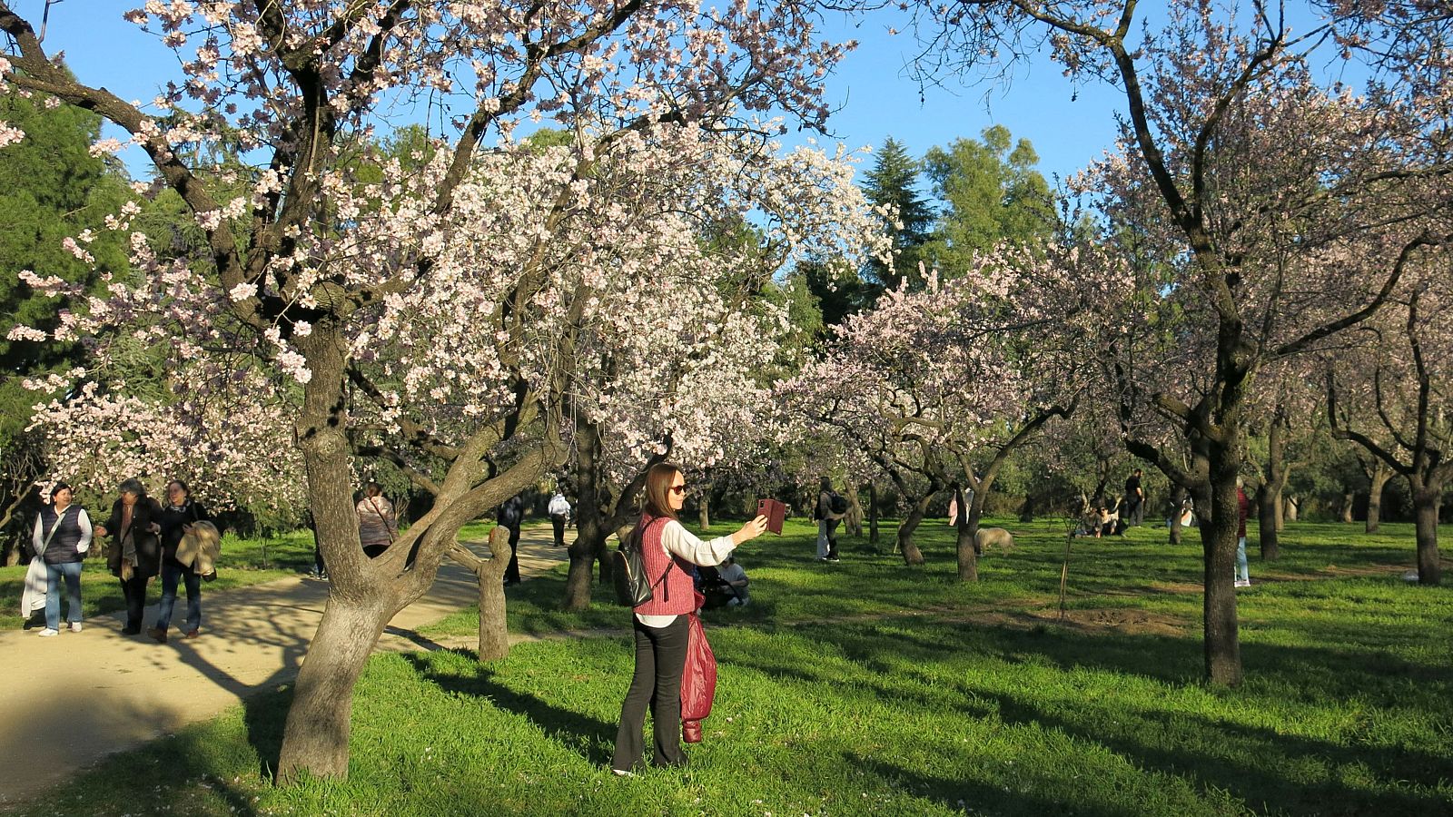 El tiempo matinal - 20/02/2024 - Telediario Matinal | Ver