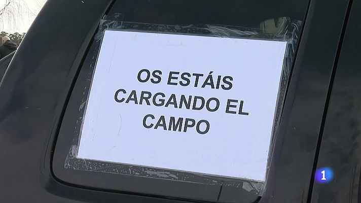 Panorama Regional - Panorama Regional - 20/02/24