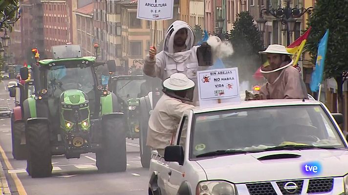 Panorama Regional - Panorama Regional 2 - 20/02/24