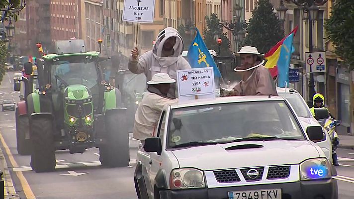 Panorama Regional - Asturias en 2' - 20/02/24