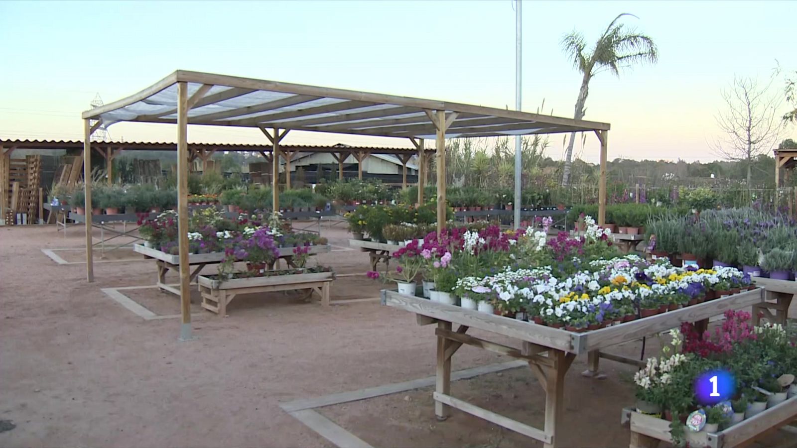 La jardineria, al límit per la sequera