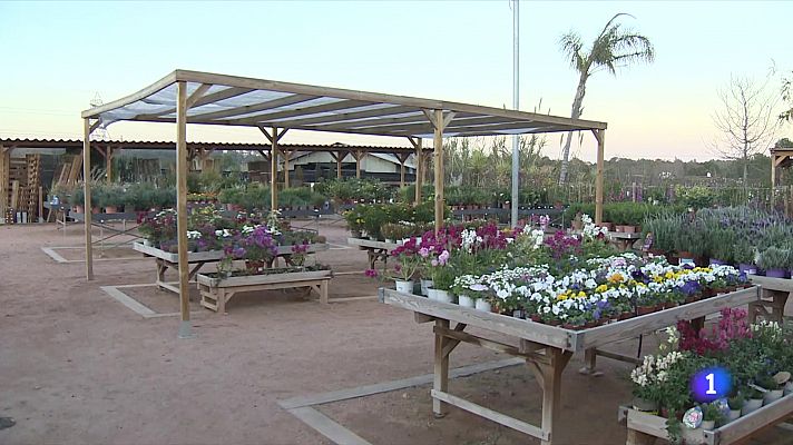 La jardineria, al límit per la sequera: algunes empreses perden el 30% de la facturació