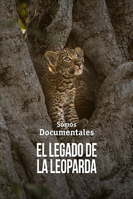 El legado de la leoparda