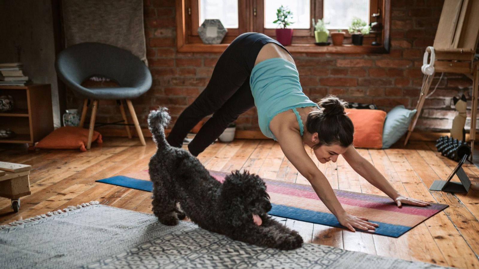 Comienza a hacer ejercicio físico sin excusas - Para Todos La 2 - Para todos La 2 | Ver