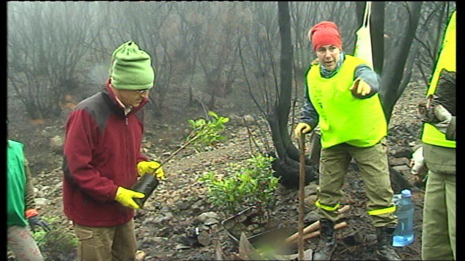 Telecanarias - 02/12/12 | Ver