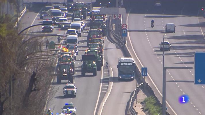 L'informatiu - Comunitat Valenciana - L'Informatiu de la Comunitat Valenciana 1 - 21/02/24