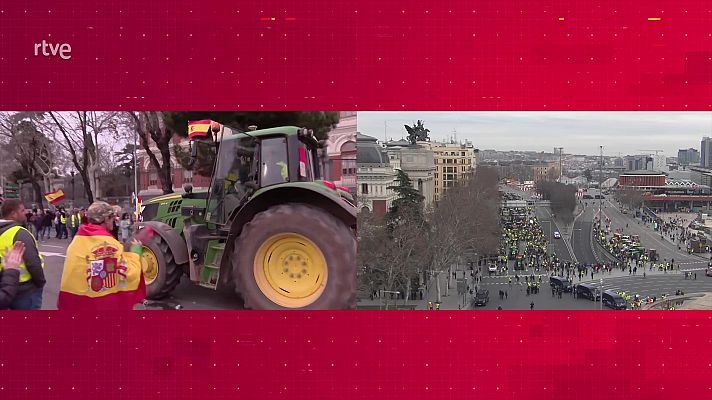 La tarde en 24h - La tarde en 24 horas - 21/02/24