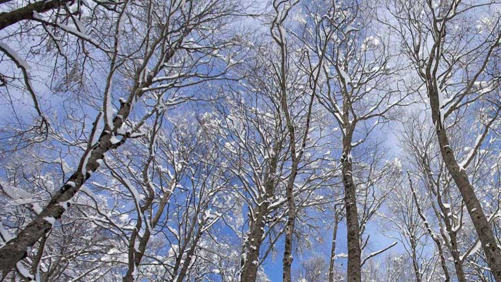 El tiempo: Subida de las temperaturas nocturnas y nieve en los Pirineos | RTVE Play