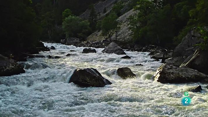 Àustria salvatge, creada per l'aigua: El flux del temps