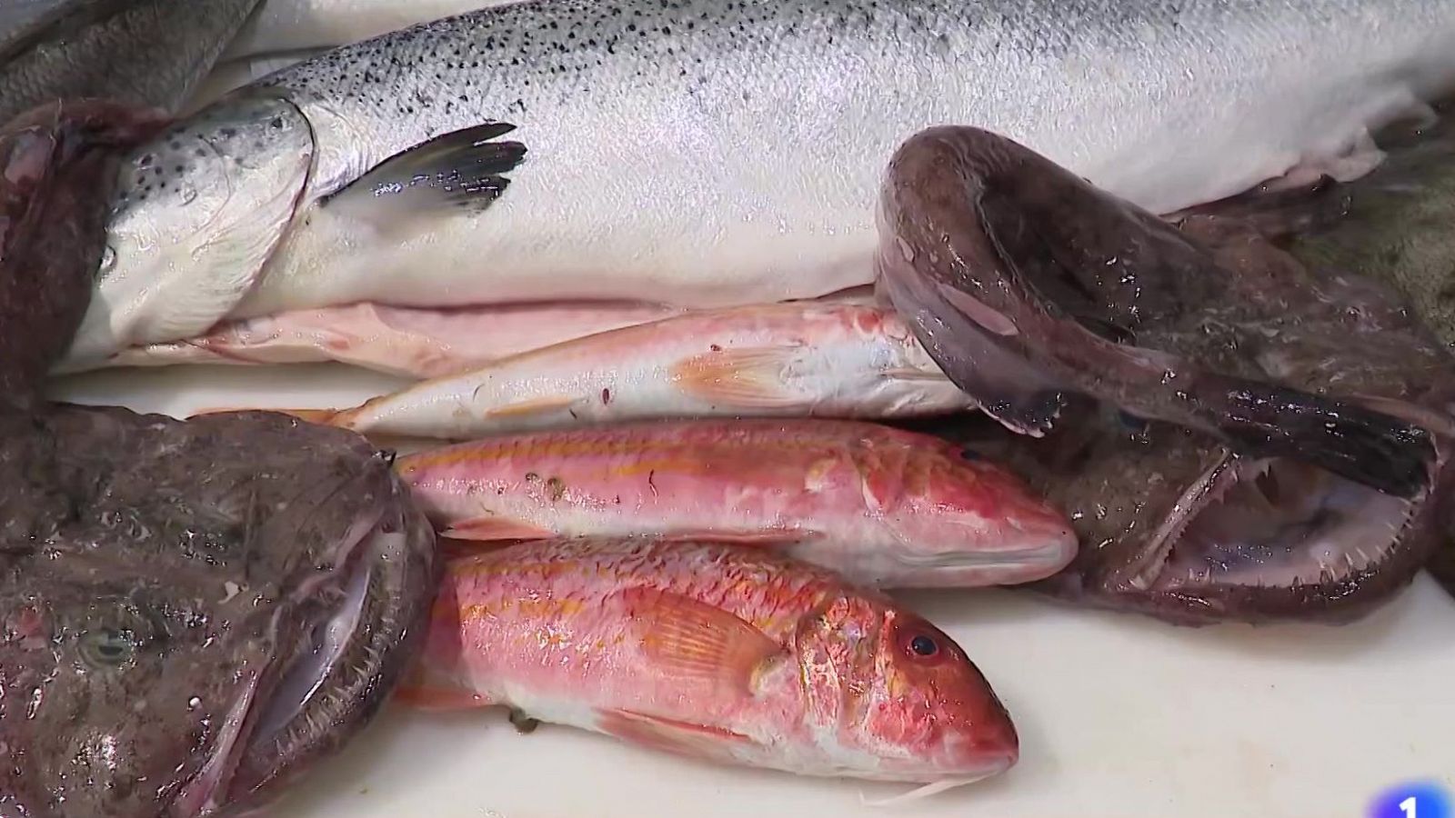 Els preparatius del Mobile World Congress - L'Informatiu | Ver