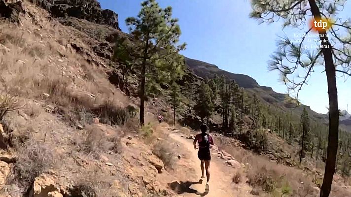 Trail - Transgrancanaria Prueba Maratón