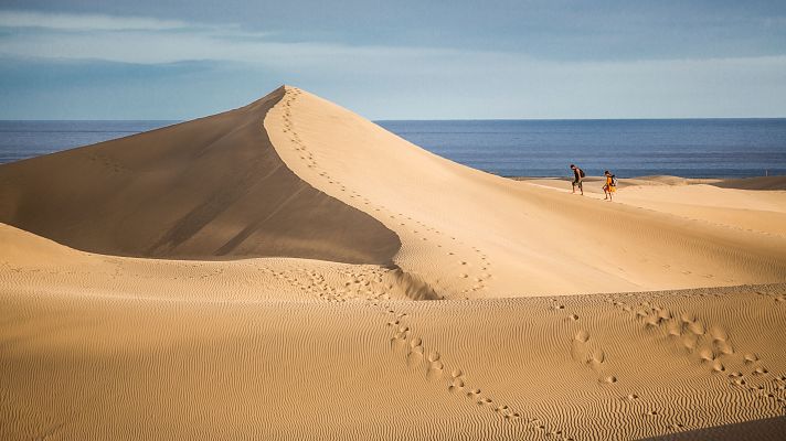 El Cabildo de Gran Canaria abre una investigación por un posible delito medioambiental en las dunas de Maspalomas