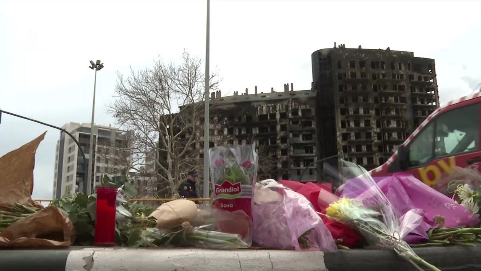 Telediario - 8 horas - 26/02/24 - Lengua de signos - ver ahora