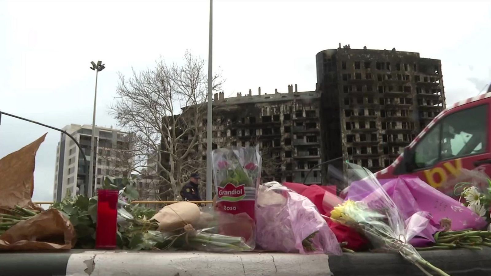 Telediario - 8 horas - 26/02/24 - ver ahora