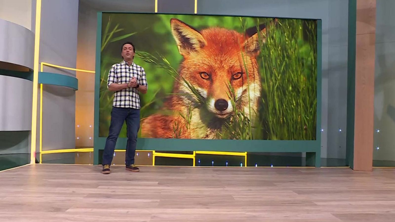 Aquí la Tierra - 26/02/24 - ver ahora