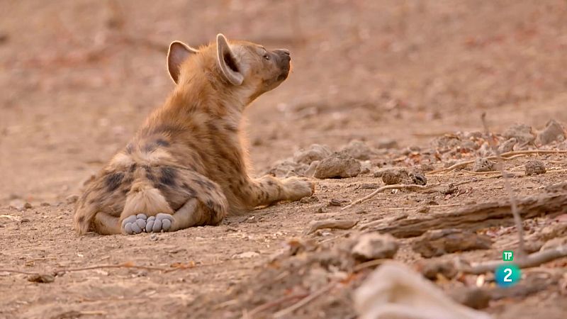 Hoja De Colorear: Mapa Del Mar Peruano