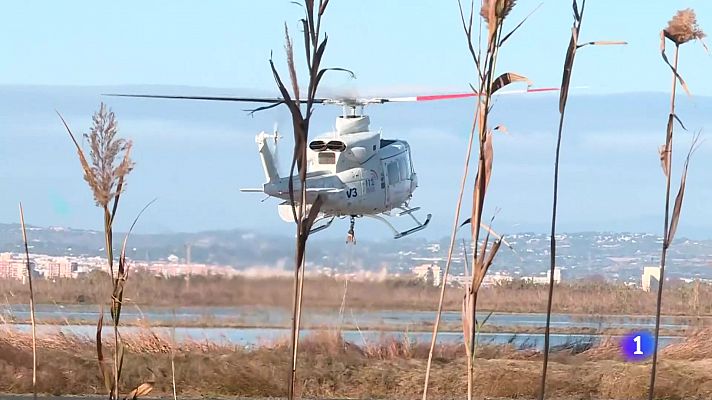 L'informatiu - Comunitat Valenciana - L'Informatiu de la Comunitat Valenciana 2 - 28/02/24