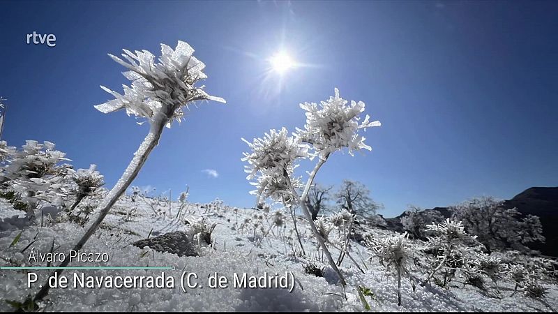 Viento fuerte o con intervalos de fuerte y rachas muy fuertes en amplias zonas del cuadrante nordeste peninsular, puntos del sudeste, Baleares, Melilla y Canarias - ver ahora