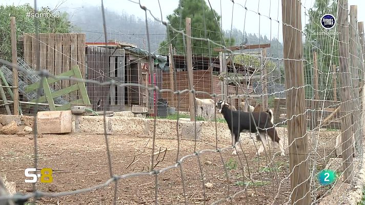 Somos 8 - Somos 8 - 28/02/2024