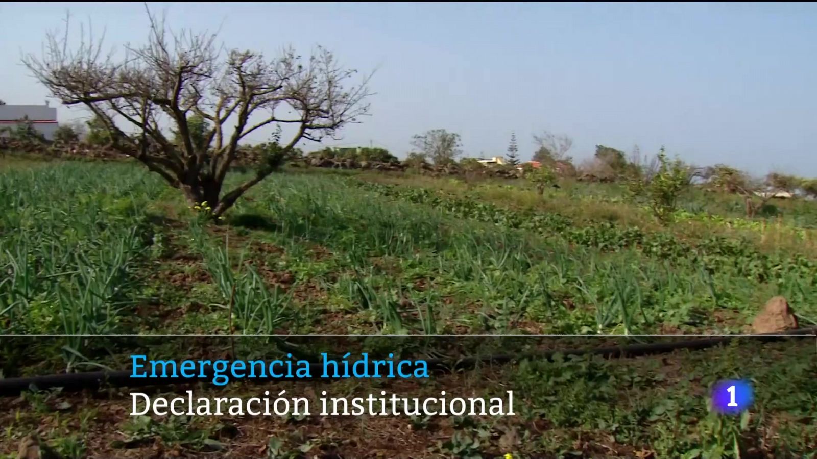 Telecanarias - 01/03/2024