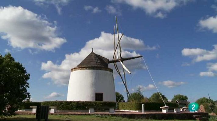 Biodiario - Biodiario - 03/12/12