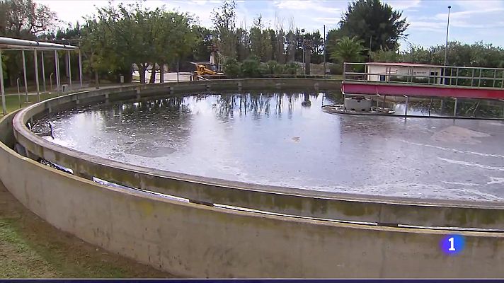 L'Informatiu - Les vinyes del Penedès, en alerta per sequera