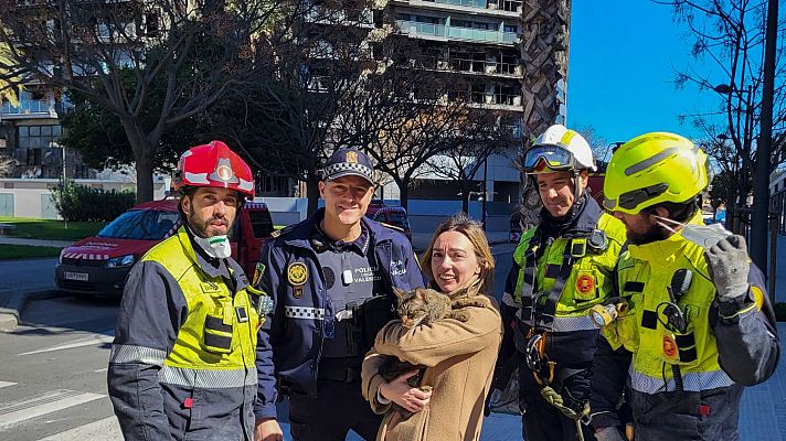 La tarde en 24h - Encuentran con vida a un gato del edificio incenciado de Valencia una semana después