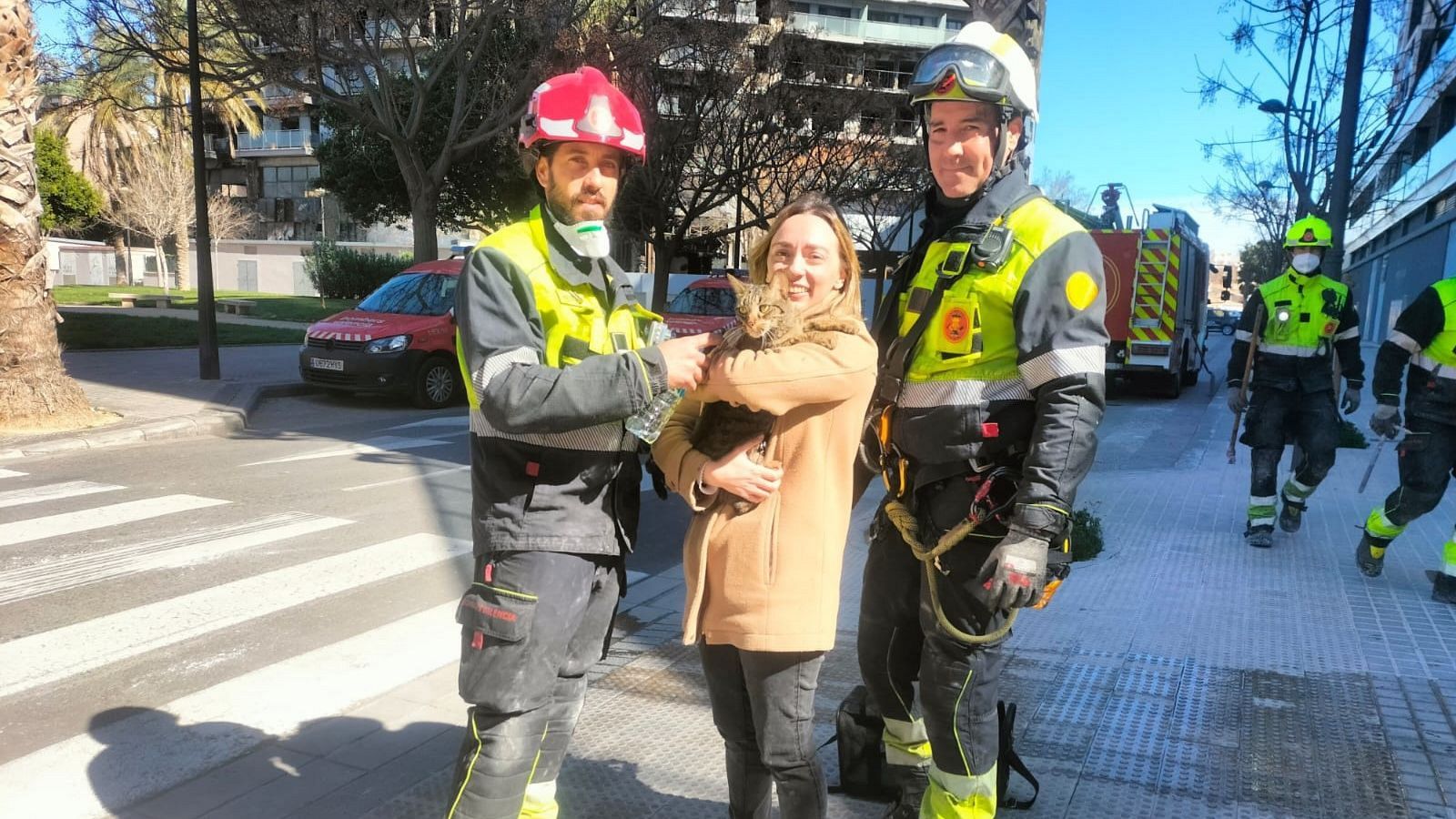Incendio de Valencia: encuentran con vida a un gato atrapado | Ver