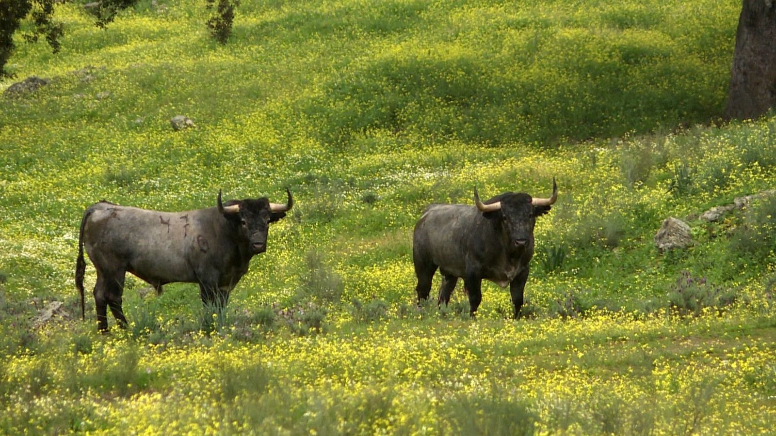 Tendido Cero - 02/03/24 - ver ahora