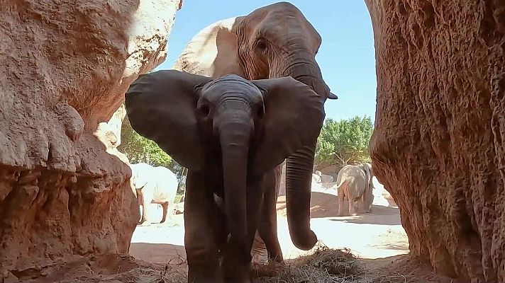 Aquí la Tierra - Aquí la Tierra - 03/03/24