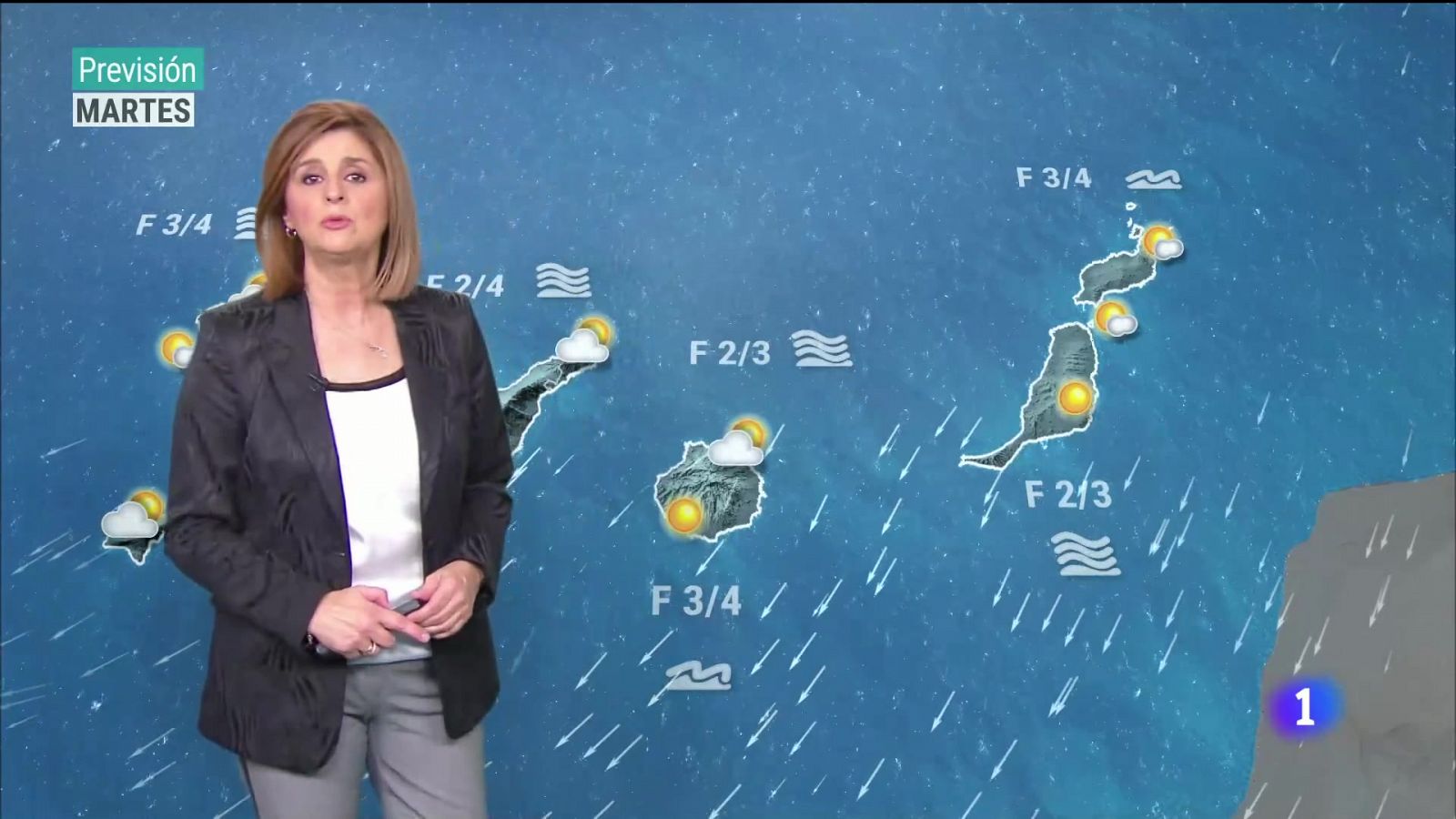 Telecanarias - Programa informativo en RTVE Play