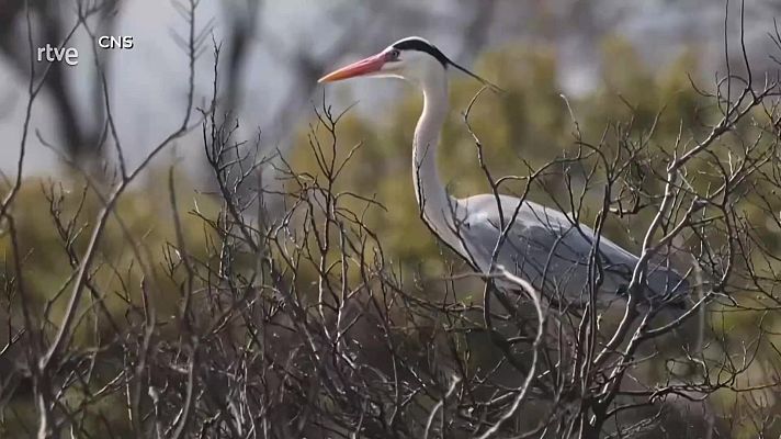 Aquí la Tierra - Aquí la Tierra - 04/03/24