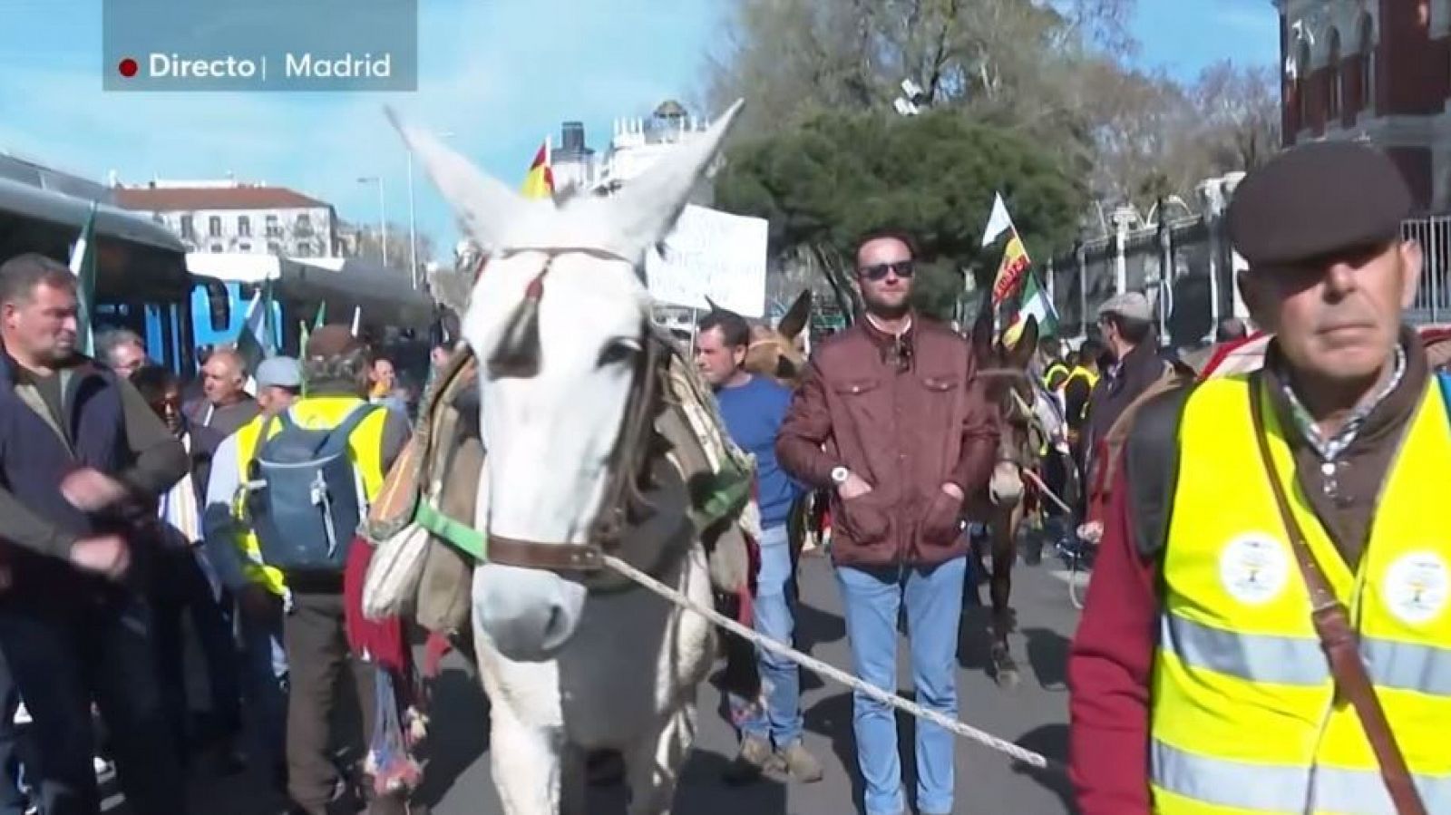 Agricultores se manifiestan con sus mulas frente al Ministerio de Agricultura