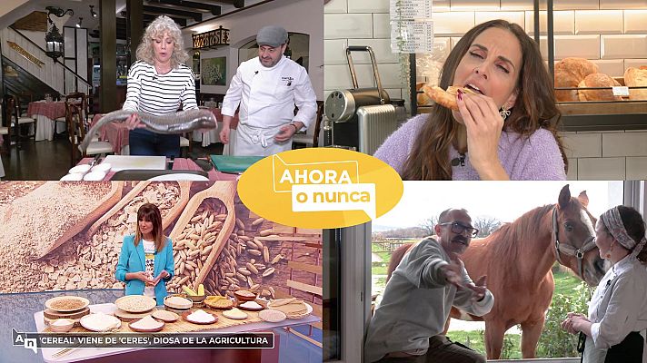 Ahora o nunca - Programa 284