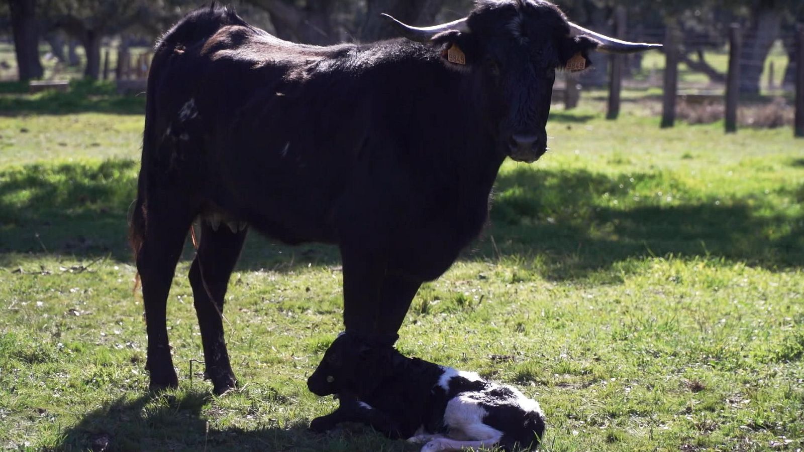 Tendido Cero - 09/03/24 - ver ahora