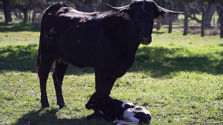Tendido cero - Tendido Cero - 09/03/24