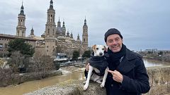 Pipper en ruta - Zaragoza