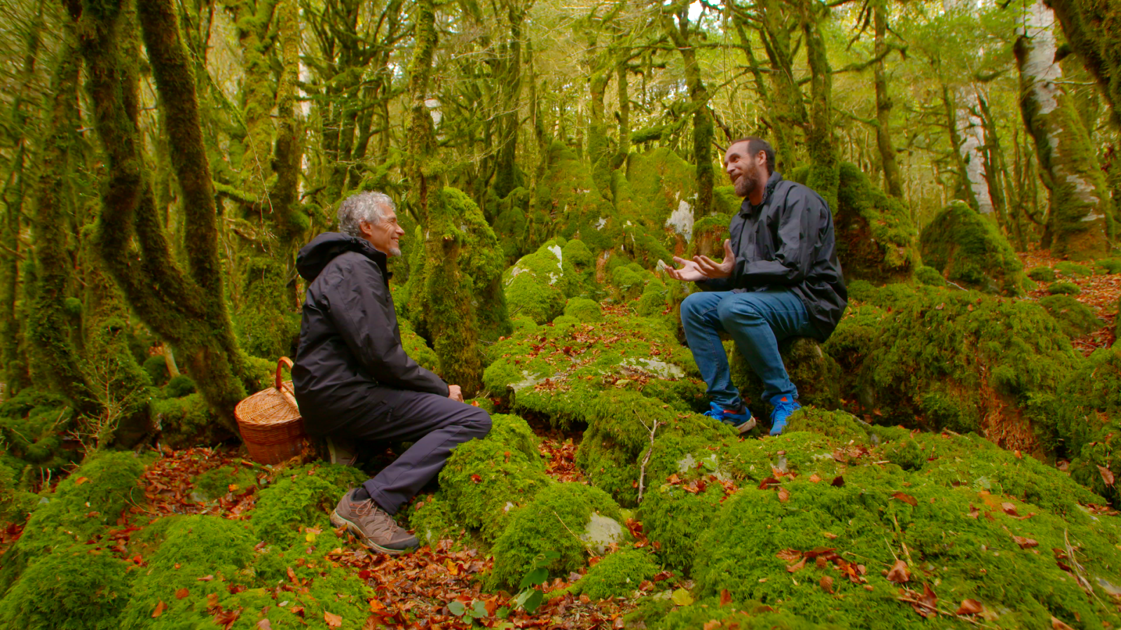 El señor de los bosques - Irati, bosque de Bojes - ver ahora