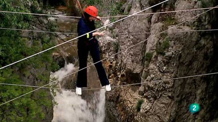 Biodiario - Biodiario - 04/12/12