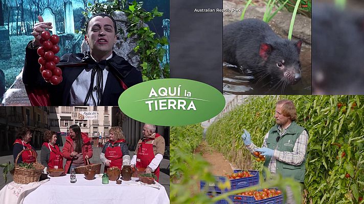 Aquí la Tierra - Aquí la Tierra - 11/03/24