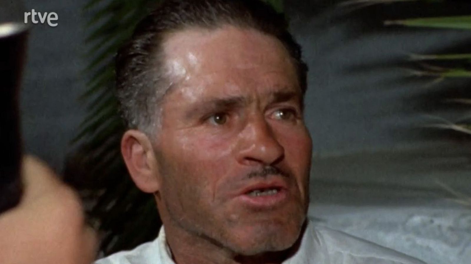 Raíces - El fuego - Raíces | Ver