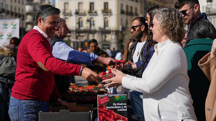UPA reparte en Madrid más de 2.000 tarrinas de fresas de Huelva "sanas y seguras"