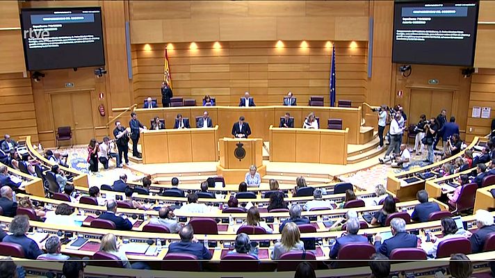 Diario 24 - Diario 24 - 12/03/24