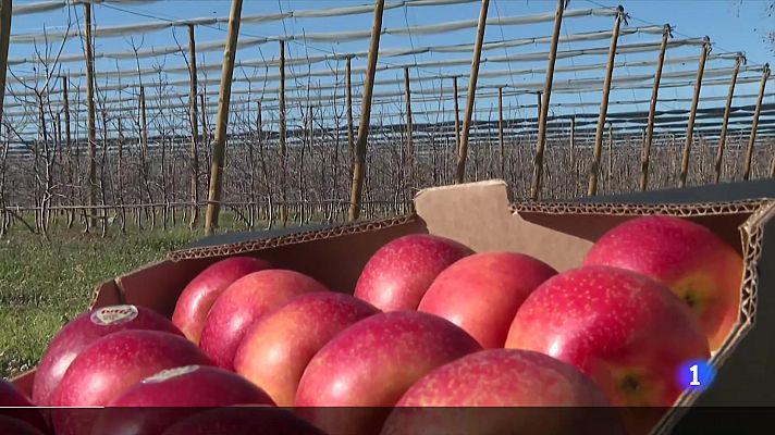 L'Informatiu - L'informatiu 2 - 12/03/2024