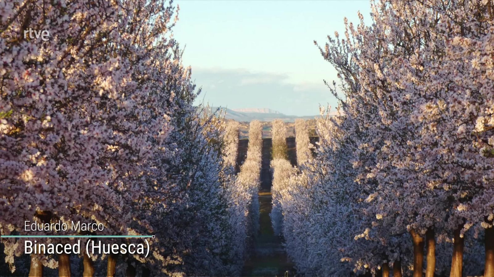 En la Península y Baleares se prevé un día anticiclónico con tiempo estable, con predominio de cielos poco nubosos o despejados - ver ahora