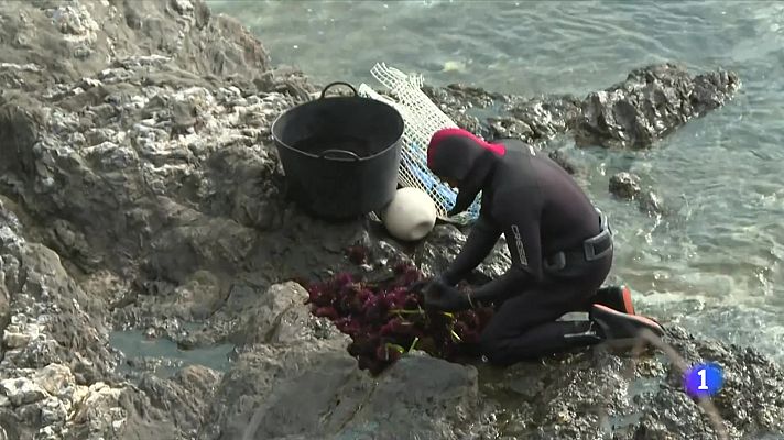 L'Informatiu - Intensifiquen els controls per enxampar els furtius de garotes a les comarques gironines