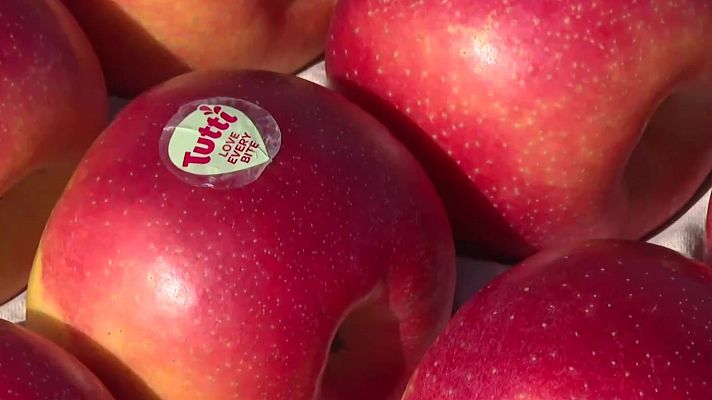 Tutti, una manzana adaptada al cambio climático que ha tardado 20 años en ser creada