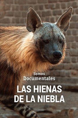 Som Documentals - Les hienes de la boira