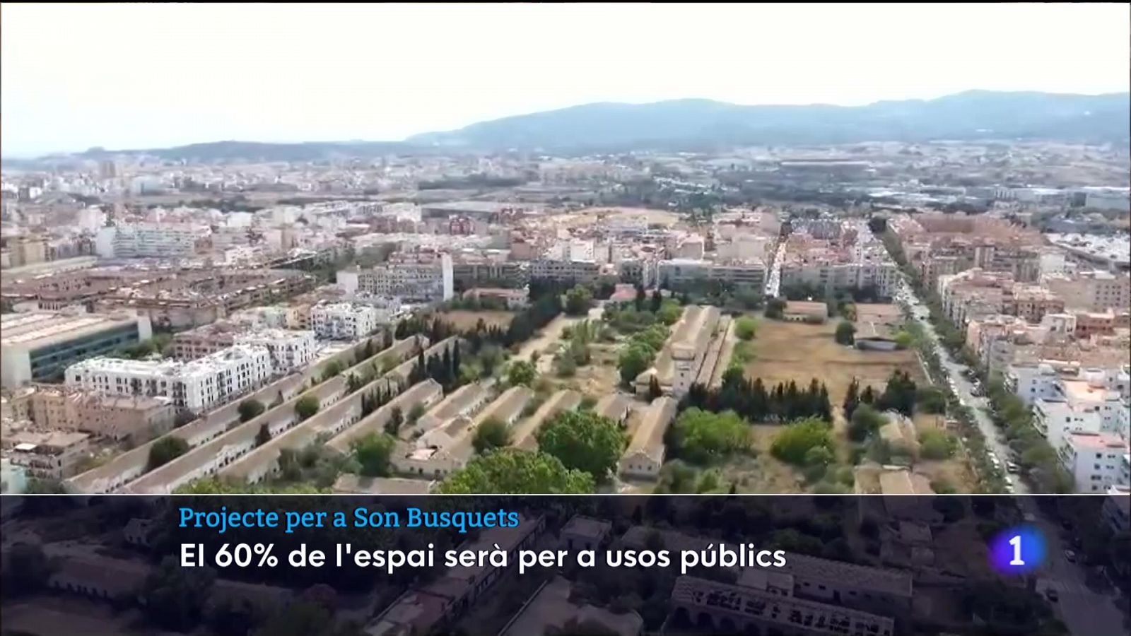 El futur de Son Busquets | Ver