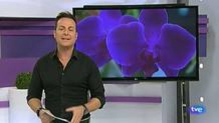 Cerca de ti - Cerca de ti - 04/12/12